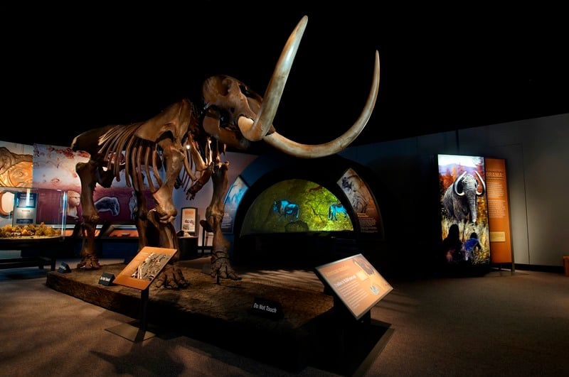 Chicago Field Museum Exhibits imgBahadur